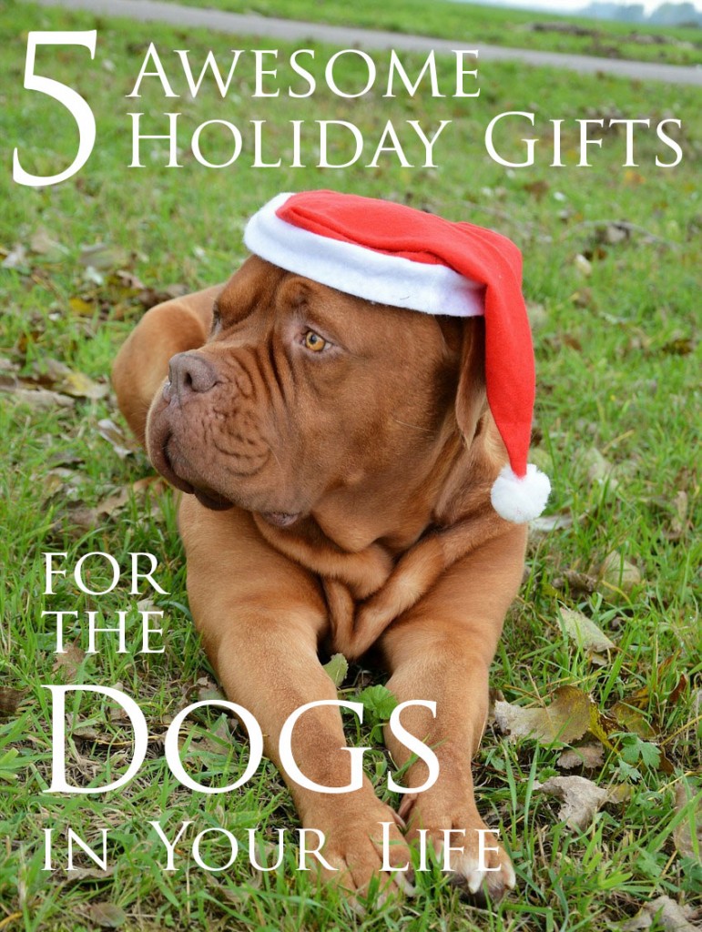 5-Awesome-Holiday-Gifts-for-the-Dogs-in-Your-Life-Cover